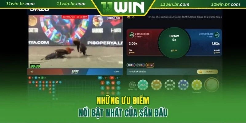 đá gà 11Win 2 4 ưu điểm nổi bật giúp đá gà 11WIN thu hút đông đảo người chơi