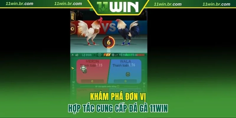 đá gà 11Win 3 4 nhà cung cấp sảnh đá gà uy tín tại 11WIN