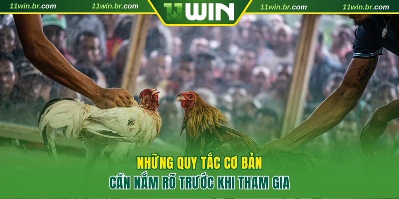Điểm Danh Các Trang Đá Gà Uy Tín Và An Toàn Nhất Năm 2025 4 Những quy tắc cơ bản cần nắm rõ trước khi tham gia trang