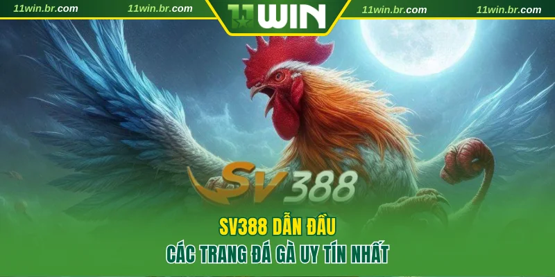 Điểm Danh Các Trang Đá Gà Uy Tín Và An Toàn Nhất Năm 2025 2 SV388 dẫn đầu các trang đá gà uy tín nhất thị trường