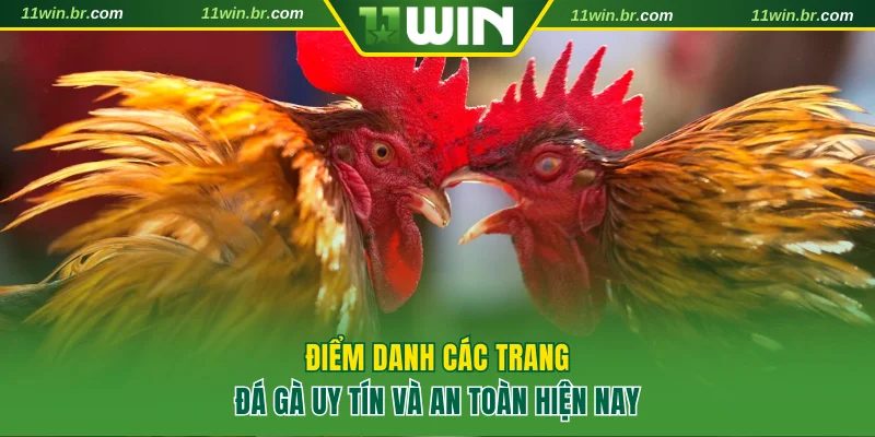 Điểm Danh Các Trang Đá Gà Uy Tín Và An Toàn Nhất Năm 2025 1 Trang đá gà uy tín