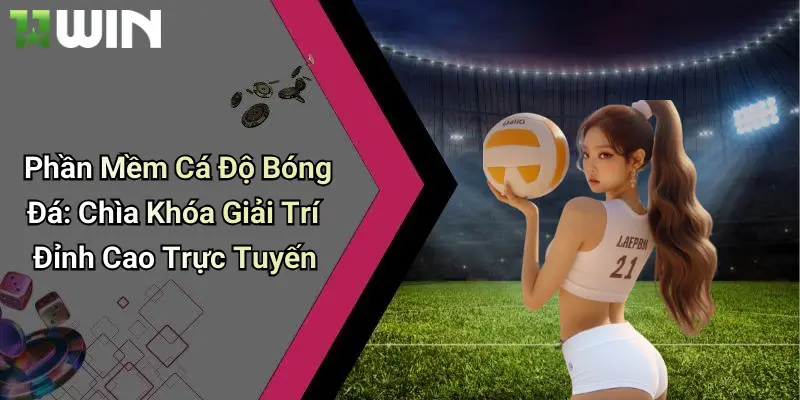 Phần Mềm Cá Độ Bóng Đá: Chìa Khóa Giải Trí Đỉnh Cao Trực Tuyến 1 Phần Mềm Cá Độ Bóng Đá: Chìa Khóa Giải Trí Đỉnh Cao Trực Tuyến